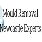 Mould Removal Newcastle Experts - Pool Cleaners in Kotara