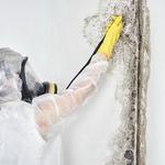 Mould Removal Newcastle Experts - photo 1