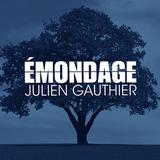 Émondage Julien Gauthier