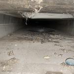 AM HVAC & Electrical - photo 3