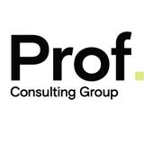 PROF CONSULTING GROUP
