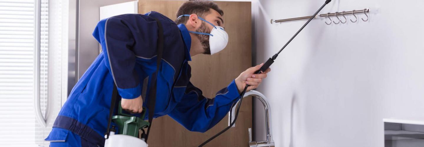 Bangor Full Service Pest Control cover photo