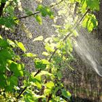 Oz Supplyz - photo 9