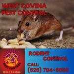 West Covina Pest Control - photo 1