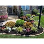 BSM Landscaping and Tree Service - photo 1