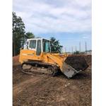 BSM Landscaping and Tree Service - photo 2