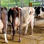 Finca Cantarranas - photo 2