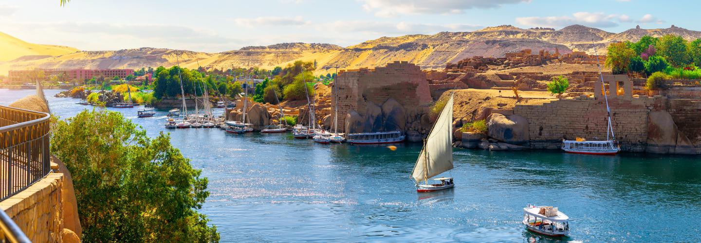 Nile Cruise Holidays  cover photo
