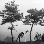 Love Frontier Therapy Group - photo 2