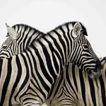 Love Frontier Therapy Group - photo 3