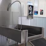 Auto-Mutt Dog & Car Wash - photo 2