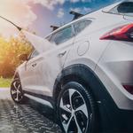 Auto-Mutt Dog & Car Wash - photo 7