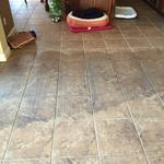 Silver Olas Carpet Tile Flood Cleaning - photo 2