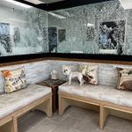 Safari Veterinary Care Centers - Pearland - photo 5
