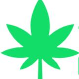 Top Quality Buds On Sale AU - Health Markets in Sydney