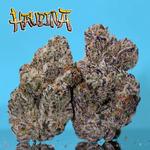 Top Quality Buds On Sale AU - photo 3