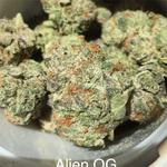Top Quality Buds On Sale AU - photo 4