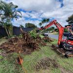 Mini Digger Excavator Hire Gold Coast - photo 2