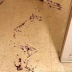 911 Bio & Trauma Cleaners - photo 5
