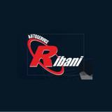 Autoservice Ribani Meccanico Bologna - Automotive in Bologna