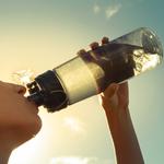 Arctic Coolers - photo 4