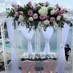 Chef JP Gourmet - photo 4