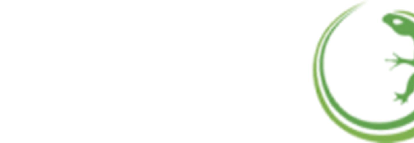 signonllc cover photo