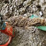 Blue Drop Plumbing - photo 5