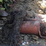 Blue Drop Plumbing - photo 6