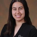 Avner Gat Public Adjusters - photo 3