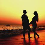 CENFORCE 100 - photo 1