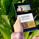 CBD Web Designing - photo 1