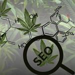 CBD Web Designing - photo 4