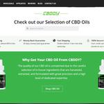 CBD Web Designing - photo 5