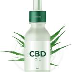 CBD Web Designing - photo 6