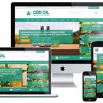 CBD Web Designing - photo 8