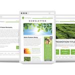 CBD Web Designing - photo 9