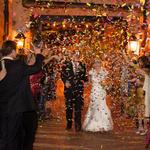 Flutter FETTI Confetti - photo 2