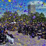 Flutter FETTI Confetti - photo 3