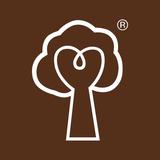 TREE flagship store | furniture & home accessories - Furniture Repair/Restoration in Hong Kong