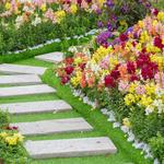 White Maple Landscaping - Farmington Hills - photo 1