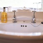 Ty Mawr Country Hotel - photo 4