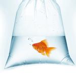 Rutan Poly Industries Inc. - photo 2