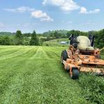 The Yard Barber - photo 3