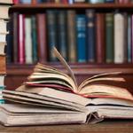 Royal Palm Montessori Academy - photo 2