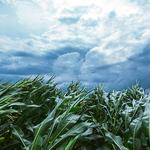 AWIS Weather Services - photo 2