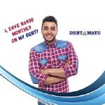 Debt Mate - photo 1