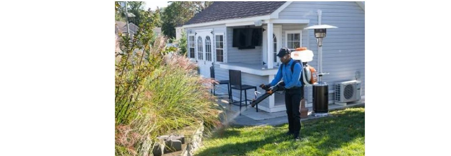 Viking Pest Control cover photo