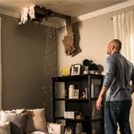 Hot Springs Restoration - photo 4