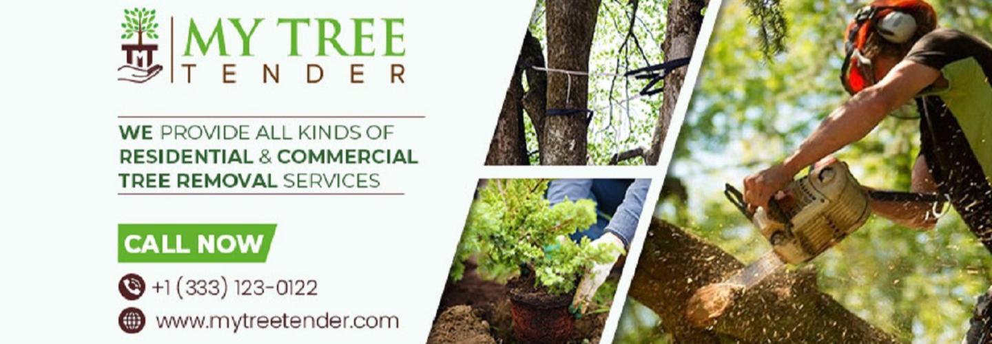 My Tree Tender cover photo